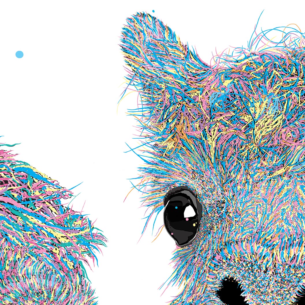 Daphne & Bert Alpacas