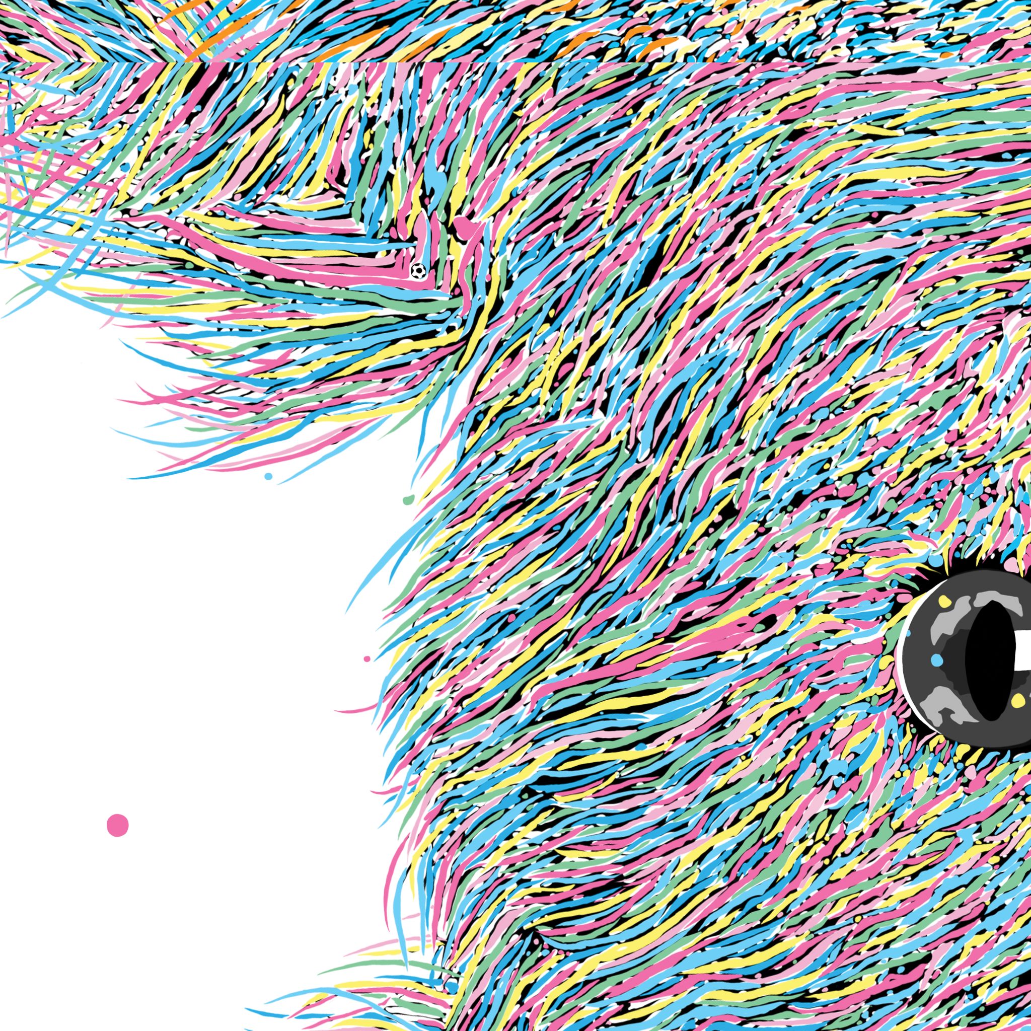 Dusty & Scout Koalas