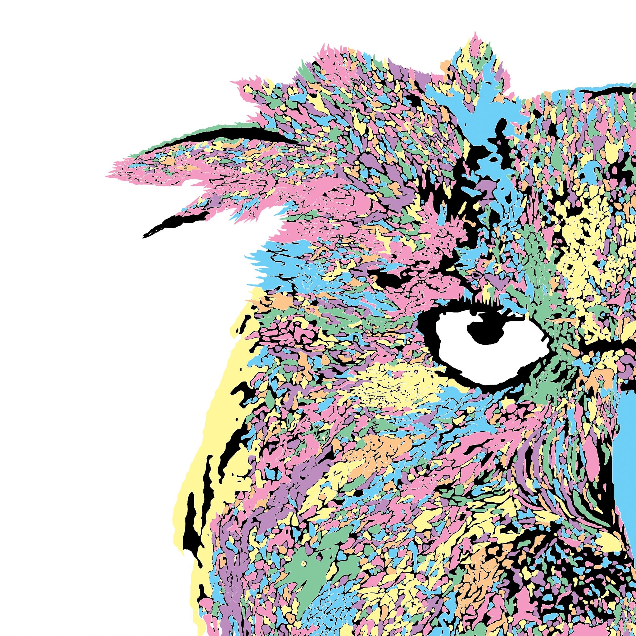 Dave Eurasian Eagle Owl