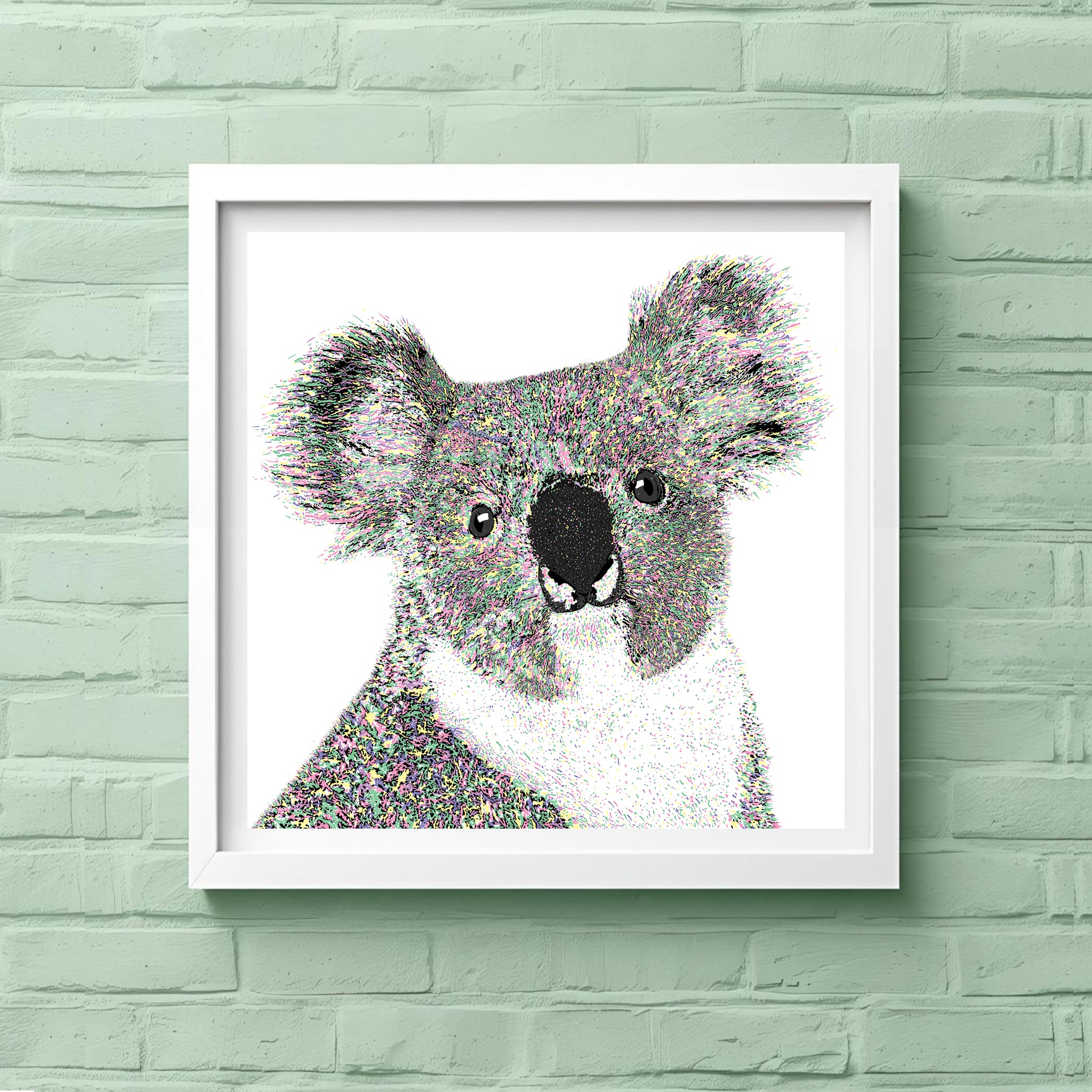 Ned Koala