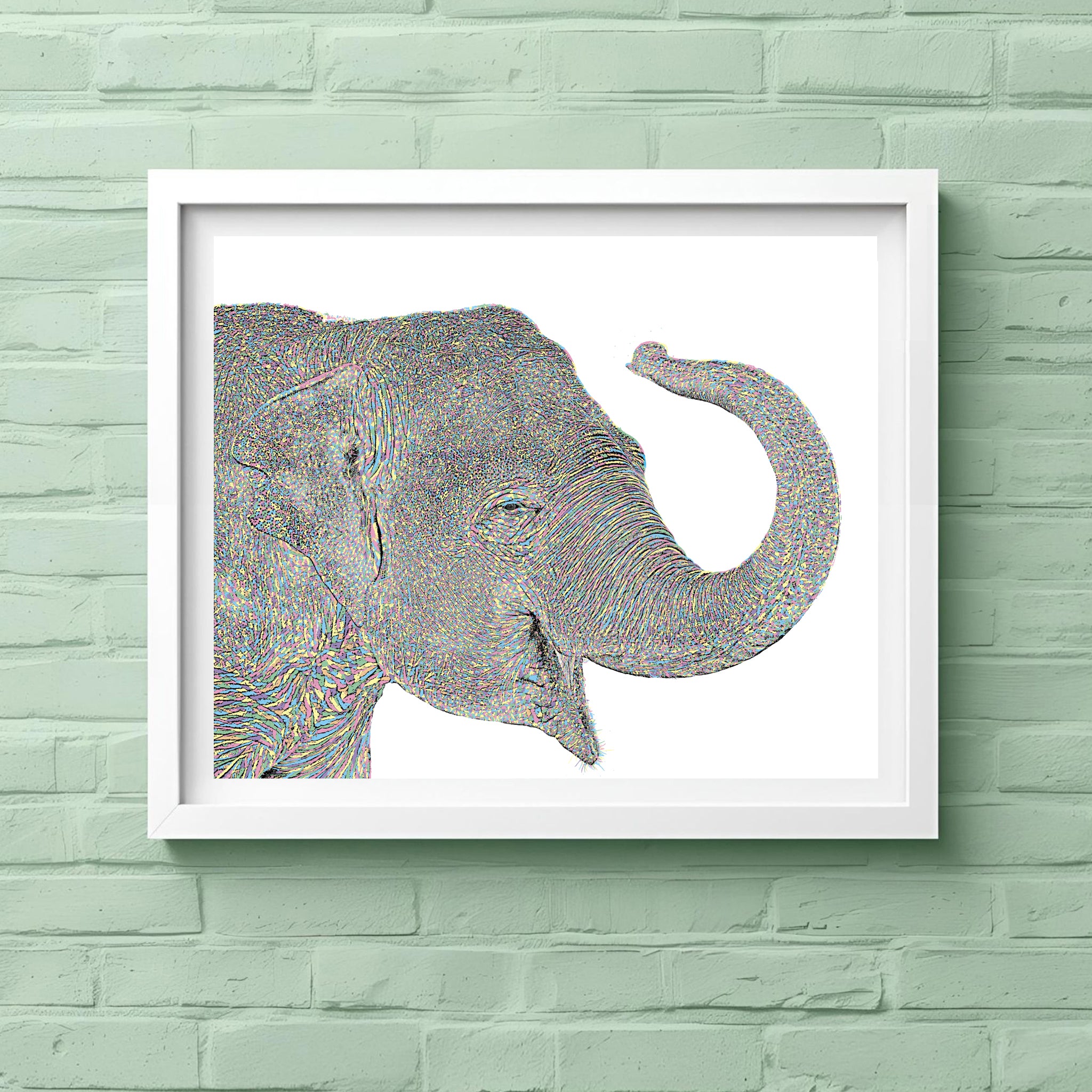 Wilma Elephant