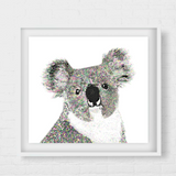 Ned Koala