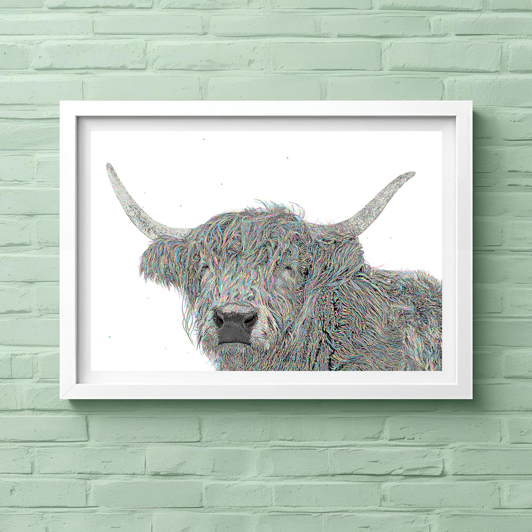 Alfred Highland Cow