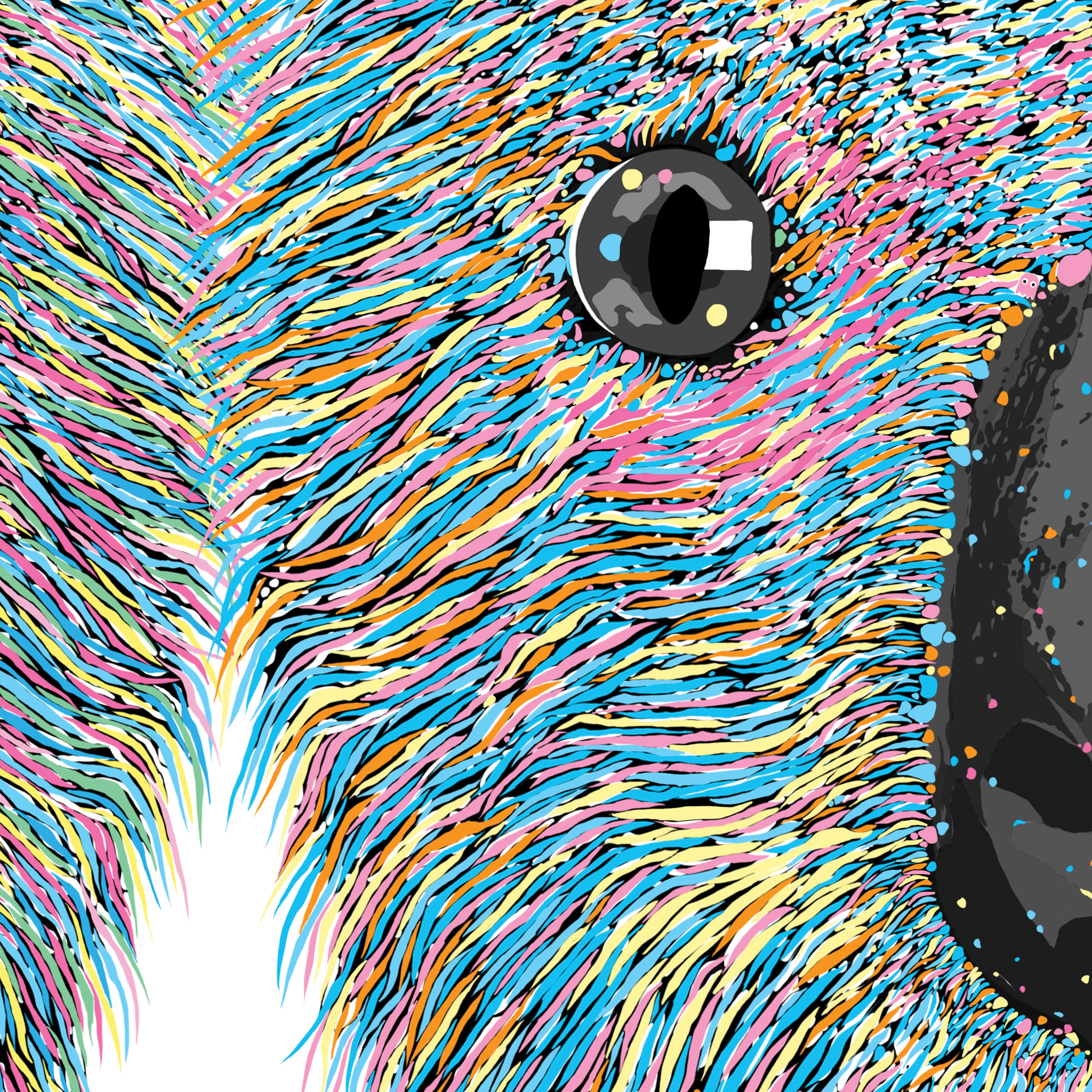 Dusty & Scout Koalas