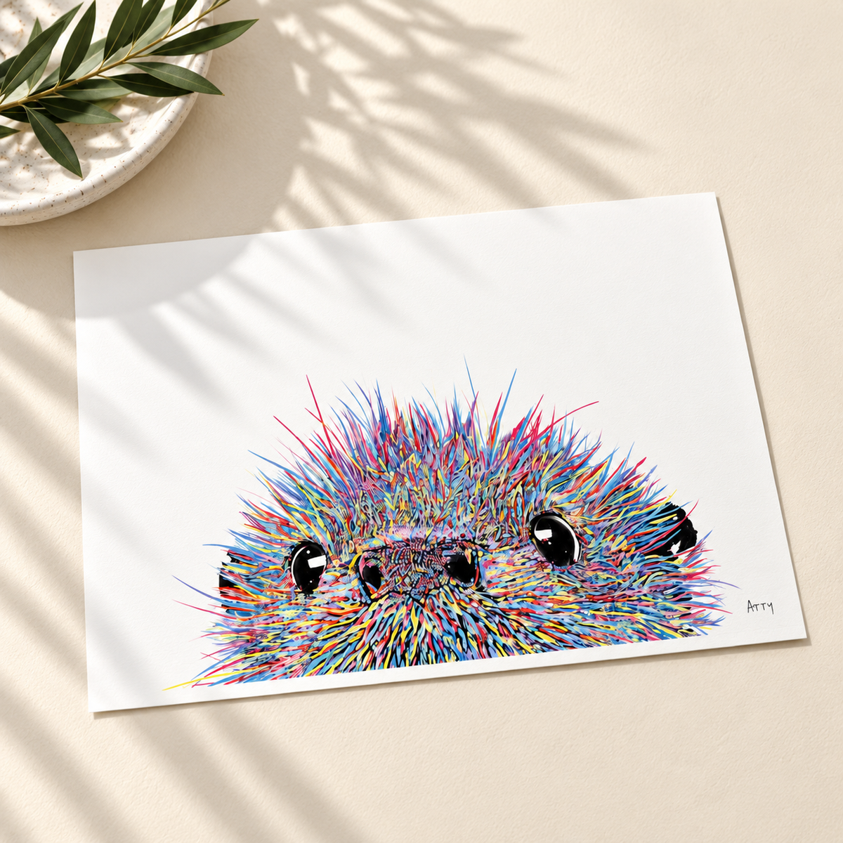 Peek-a-Boo Single