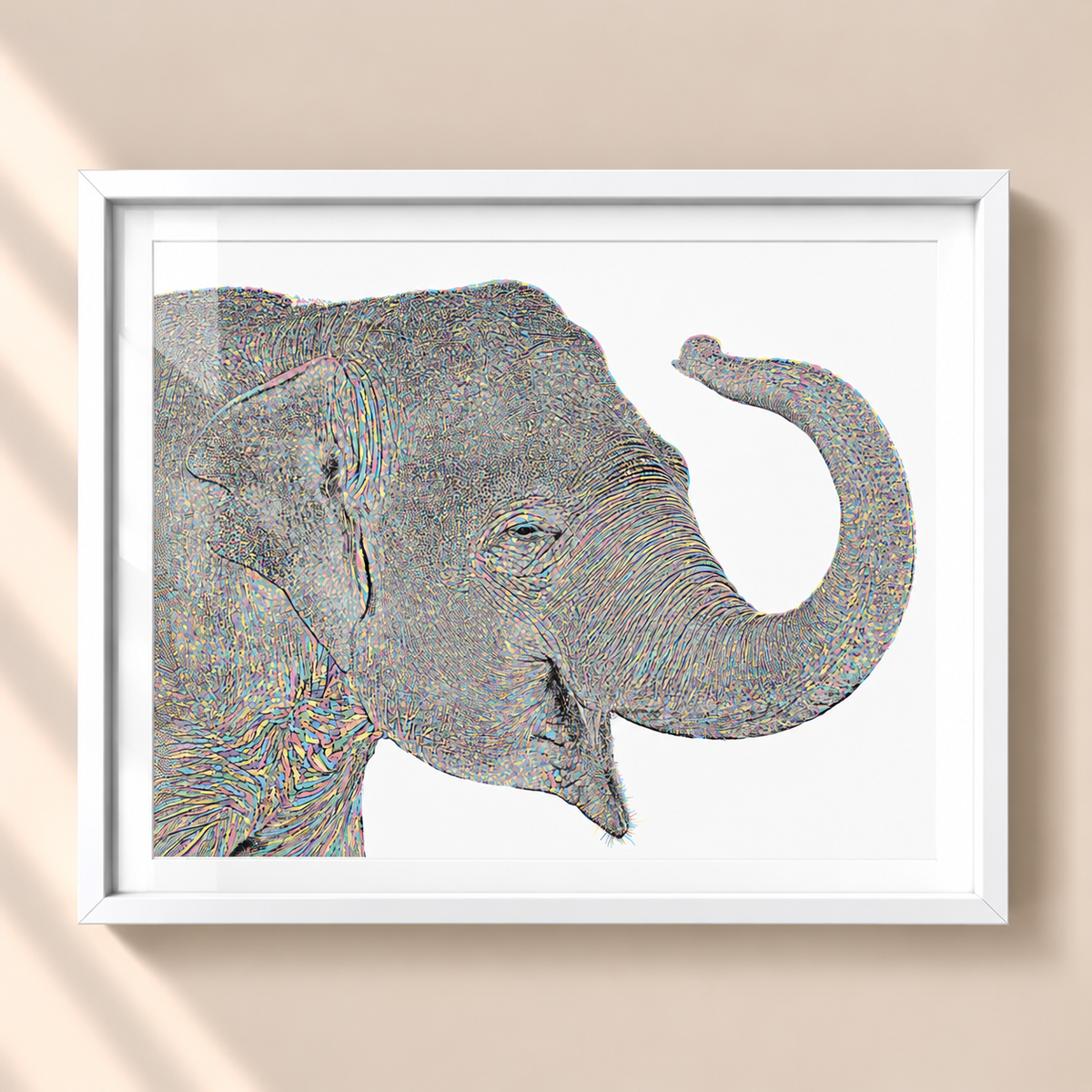 Wilma Elephant