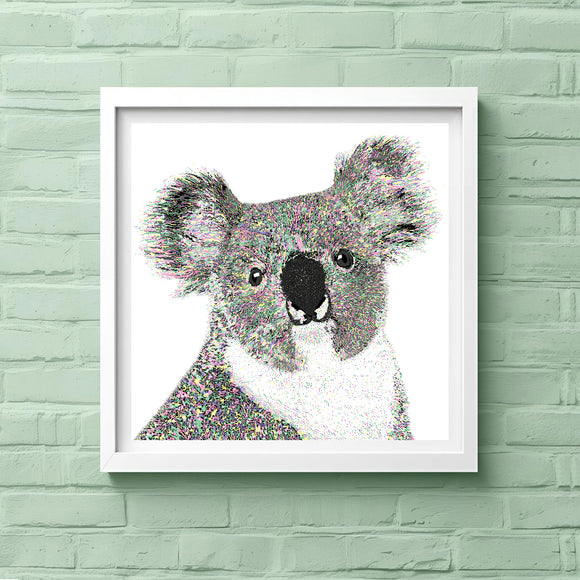 Ned Koala