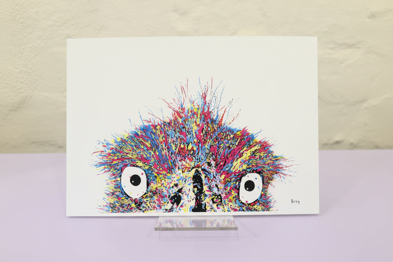 Peek-a-Boo Collection