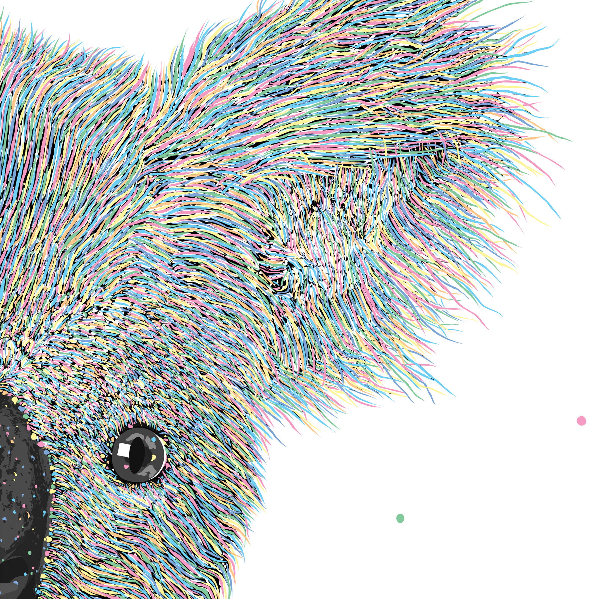 Lily the Koala  Koala Art Prints by Digital Artist Atty