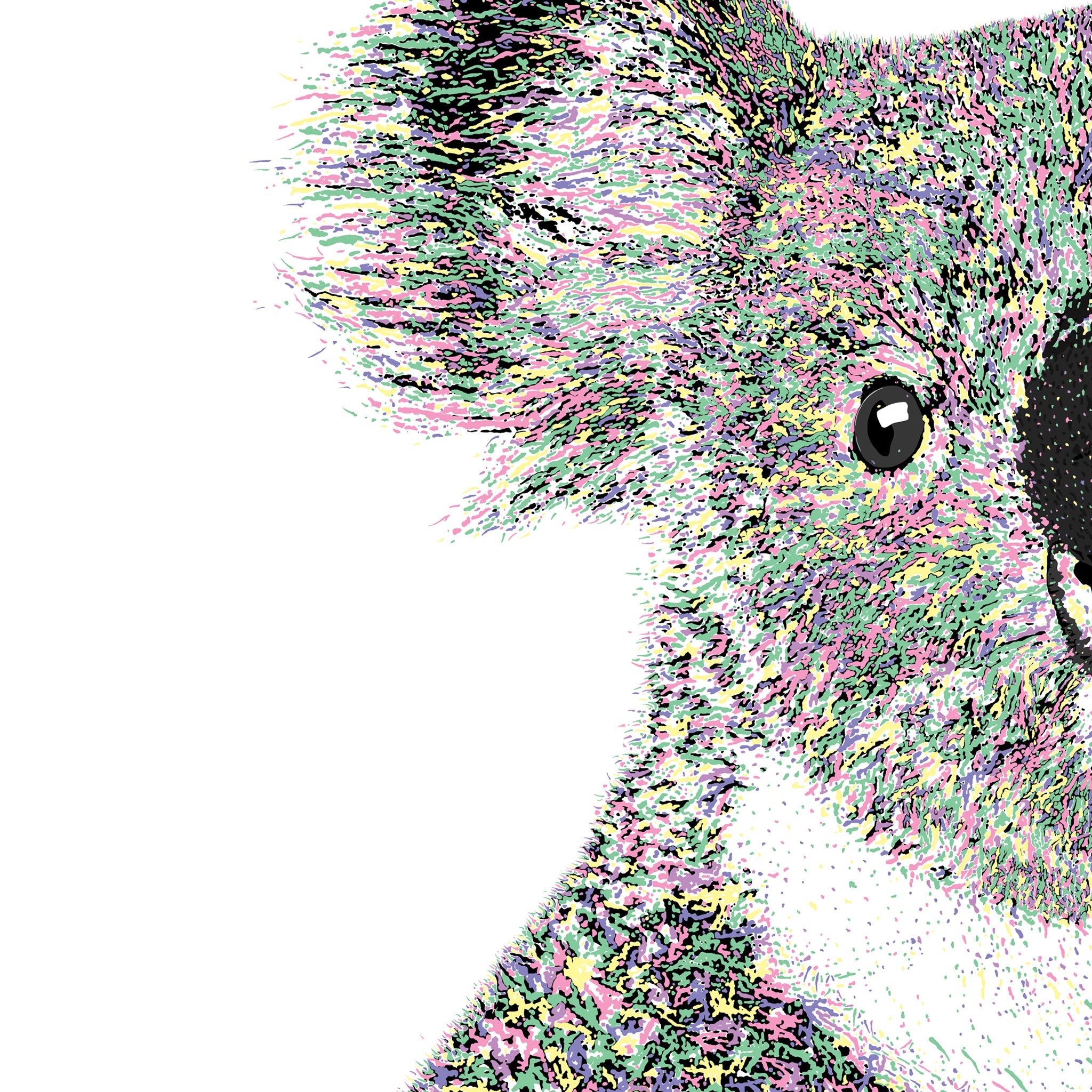 Ned The Koala  Koala Art by Digital Artist Atty